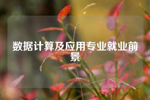 数据计算及应用专业就业前景