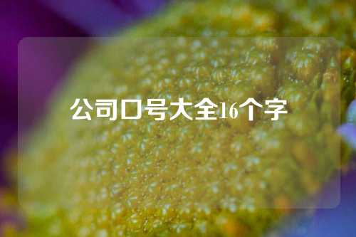 公司口号大全16个字
