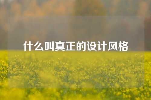 什么叫真正的设计风格