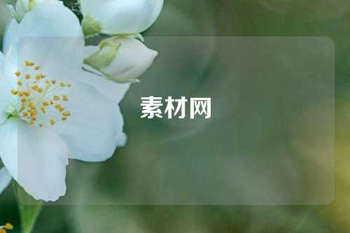 素材网