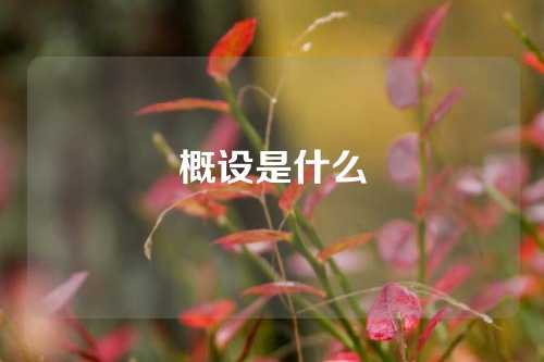 概设是什么