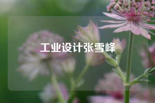 工业设计张雪峰