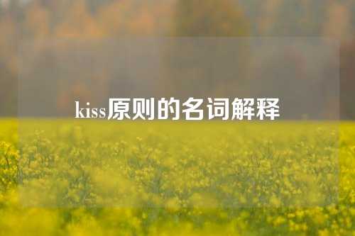kiss原则的名词解释