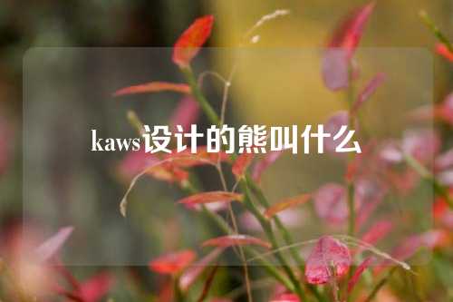 kaws设计的熊叫什么