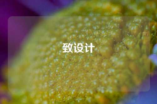 致设计