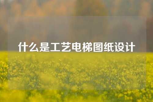 什么是工艺电梯图纸设计