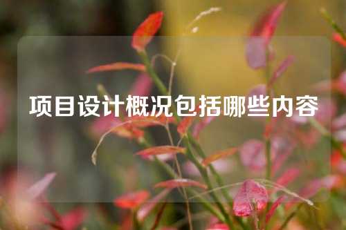项目设计概况包括哪些内容