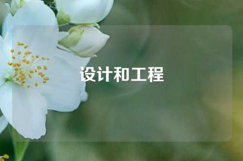 设计和工程