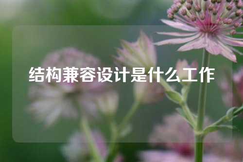 结构兼容设计是什么工作
