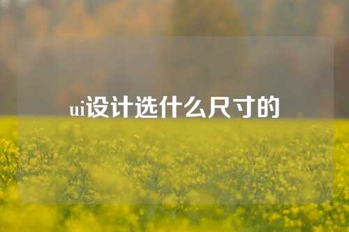 ui设计选什么尺寸的