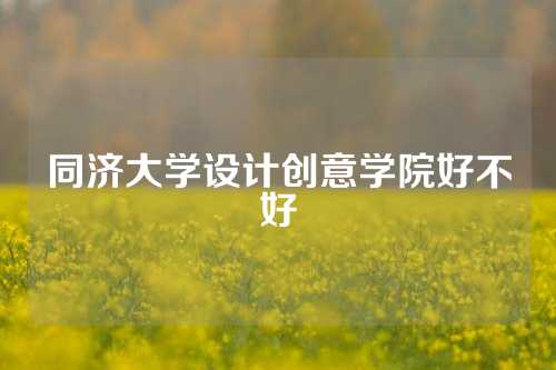 同济大学设计创意学院好不好