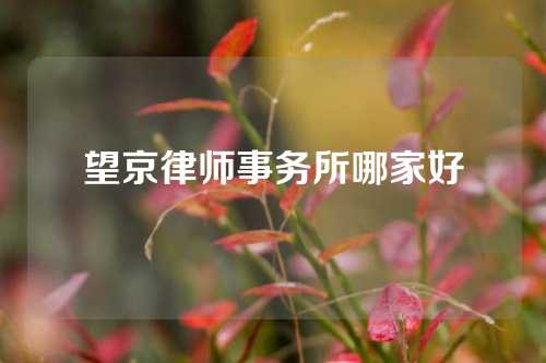 望京律师事务所哪家好