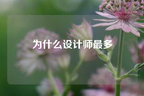 为什么设计师最多