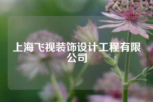 上海飞视装饰设计工程有限公司