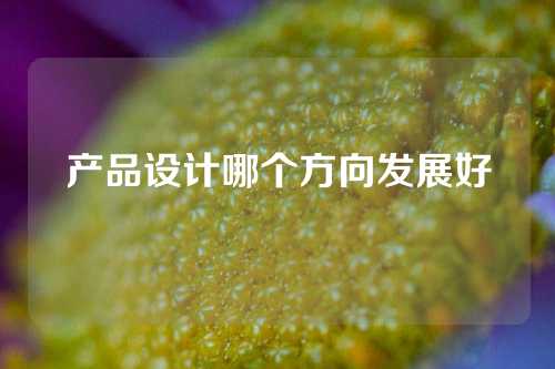 产品设计哪个方向发展好