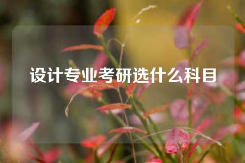 设计专业考研选什么科目