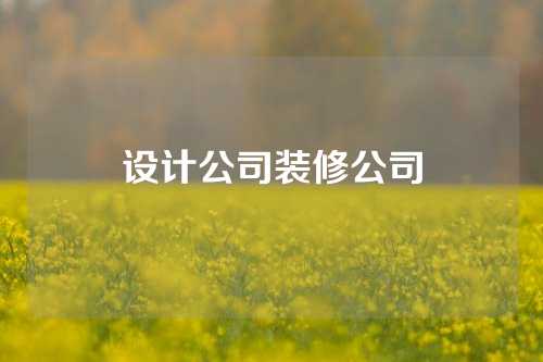 设计公司装修公司