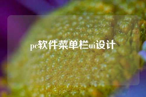pc软件菜单栏ui设计