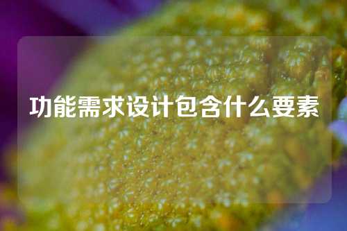 功能需求设计包含什么要素