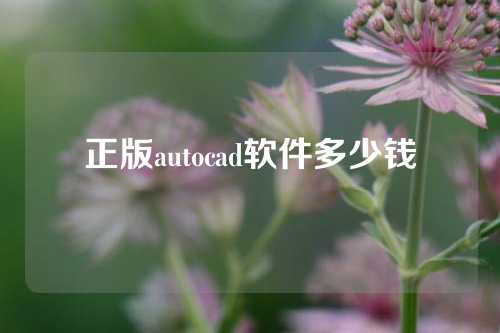 正版autocad软件多少钱