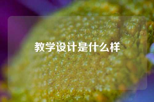 教学设计是什么样