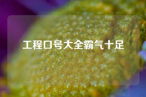 工程口号大全霸气十足