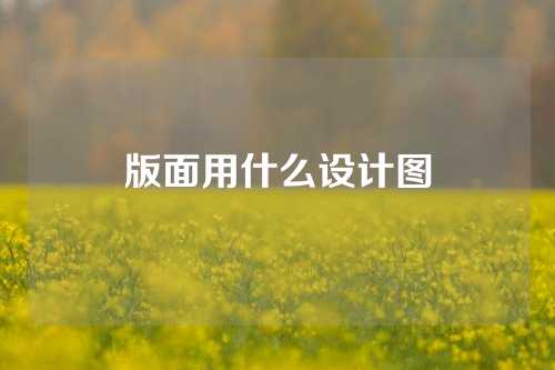 版面用什么设计图