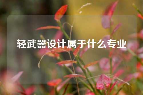 轻武器设计属于什么专业