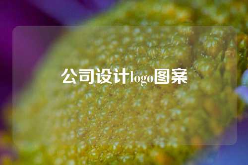 公司设计logo图案