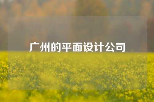 广州的平面设计公司