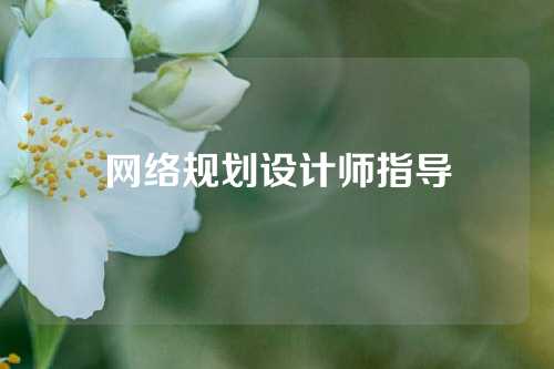 网络规划设计师指导