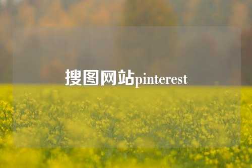 搜图网站pinterest