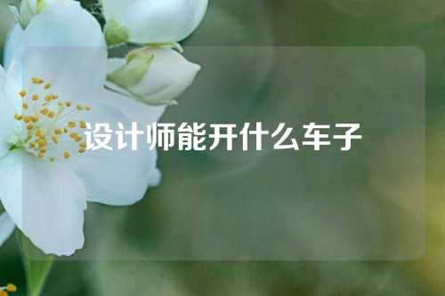 设计师能开什么车子