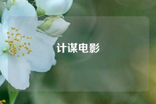计谋电影