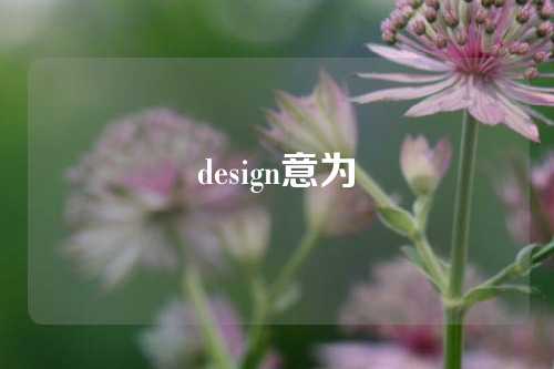 design意为