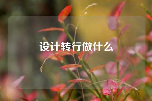 设计转行做什么