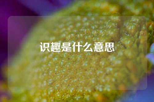 识趣是什么意思