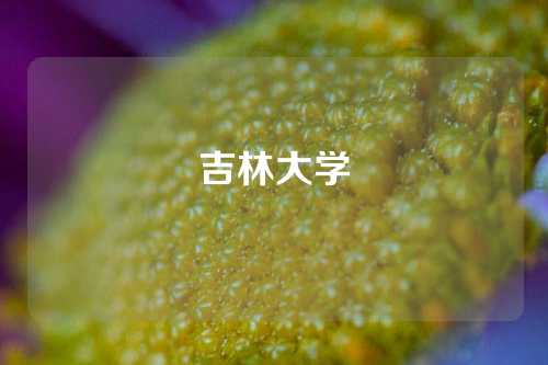 吉林大学