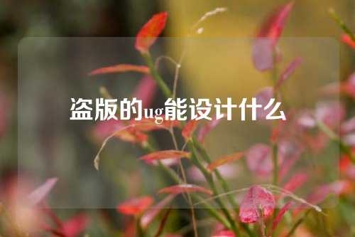 盗版的ug能设计什么