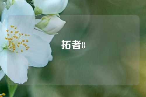 拓者8