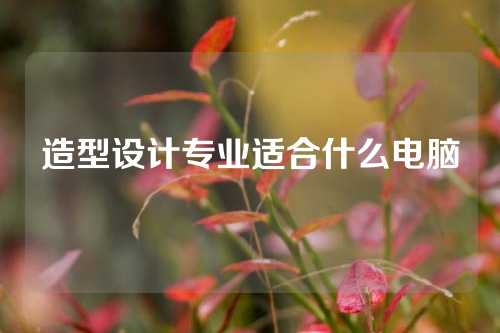 造型设计专业适合什么电脑