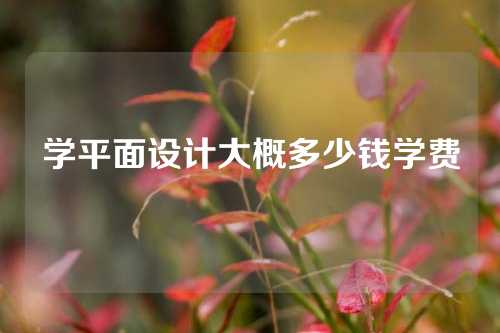 学平面设计大概多少钱学费