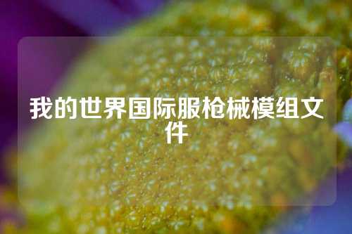 我的世界国际服枪械模组文件
