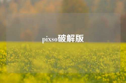 pixso破解版