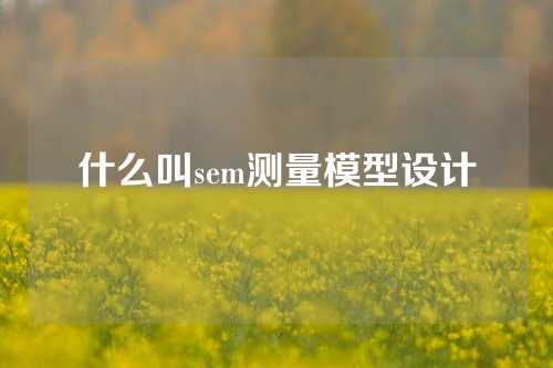 什么叫sem测量模型设计