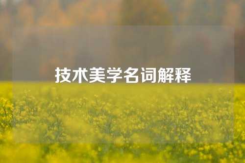 技术美学名词解释