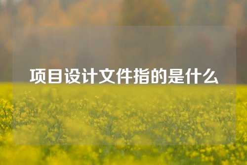 项目设计文件指的是什么