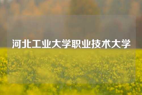 河北工业大学职业技术大学
