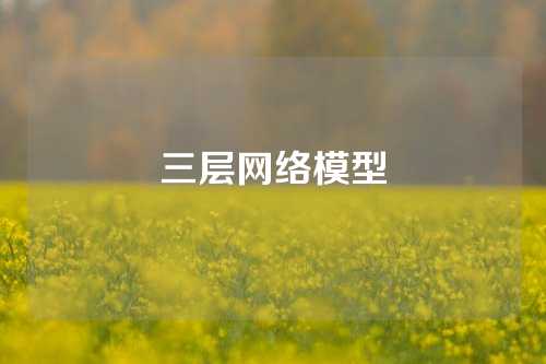三层网络模型