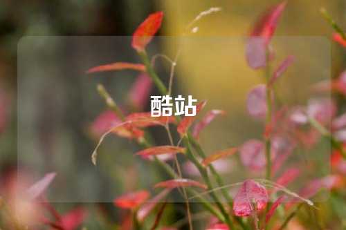 酷站